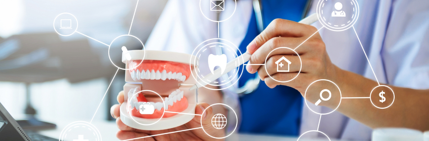 Dentist in Fort Smith working with model of teeth