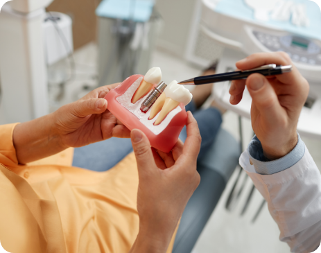 Dental patient holding model of dental implant